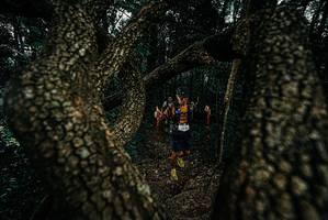 BIB: 
                            <button type="button" onclick="openModal(25693478)" class="btn btn-primary btn-sm float-right btn-popup" data-toggle="modal" data-target=".modal-high-quality">
                        <i class="fas fa-shopping-cart"></i> Add to Cart
                    </button>
                                            <button type="button" onclick="isThisMe(25693478, true)" class="btn btn-success btn-sm float-right btn-popup btn-isme hidden" data-toggle="tooltip" data-placement="bottom" title="นี่คือรูปของคุณใช่ไหม คลิกที่นี่เพื่อเอาเข้าอัลบั้ม">
                        <i class="fas fa-plus"></i> Add to album
                    </button>
                    <button type="button" onclick="isThisMe(25693478, false)" class="btn btn-warning btn-sm float-right btn-popup btn-isnotme hidden">
                        <i class="fas fa-ban"></i> Remove from album
                    </button>